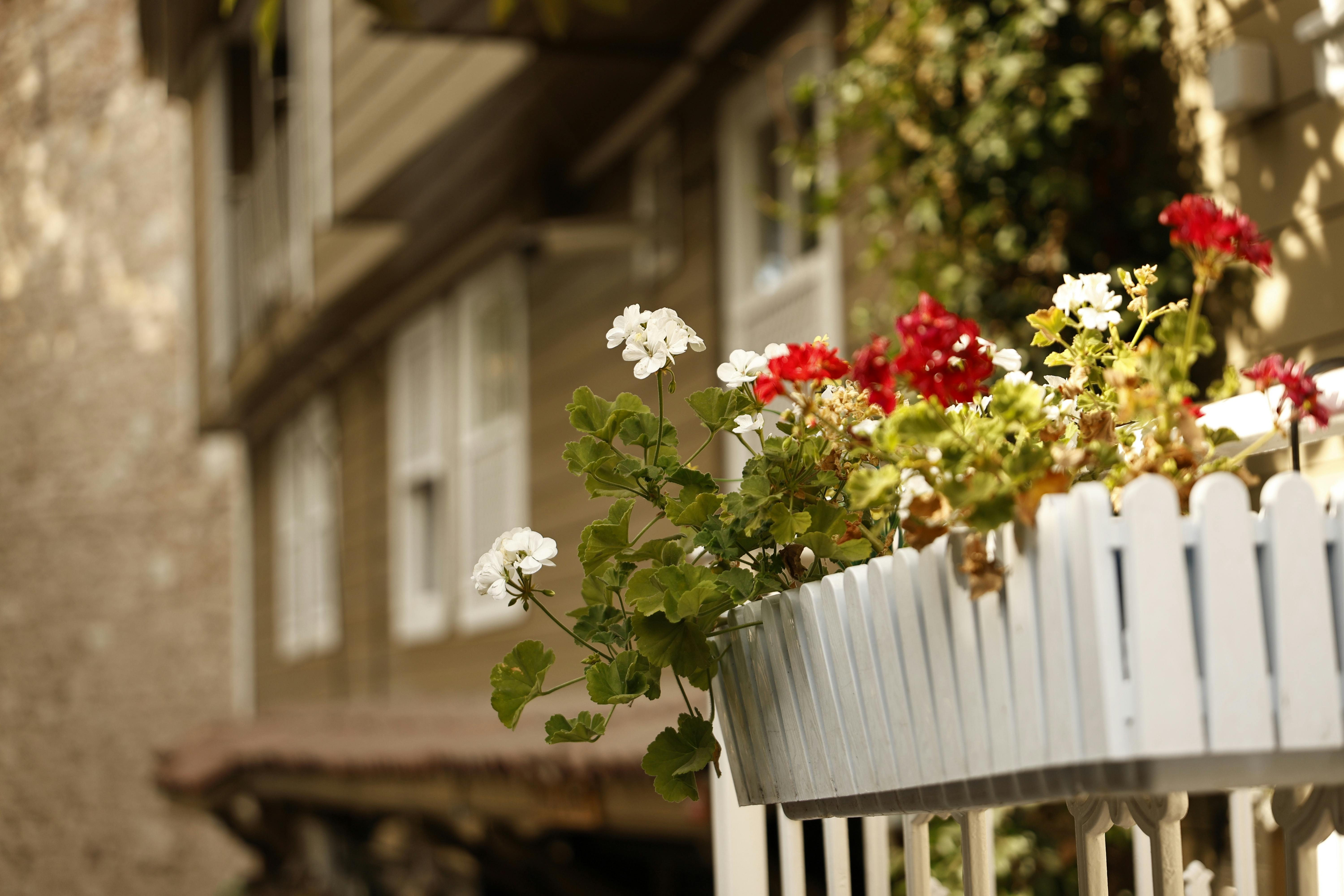 Well-maintained rental property interior